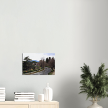 Load image into Gallery viewer, Canvas Wall Art