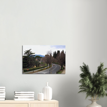 Load image into Gallery viewer, Canvas Wall Art